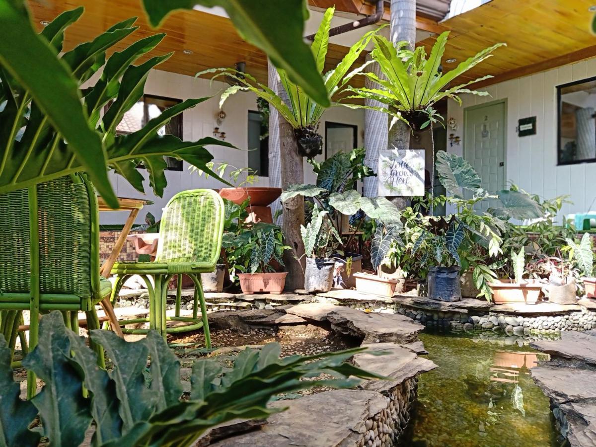 Infinite Green Pension Puerto Princesa Dış mekan fotoğraf