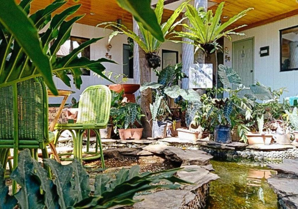 Infinite Green Pension Puerto Princesa Dış mekan fotoğraf